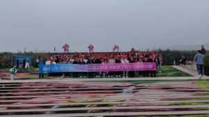 員工旅游活動(dòng)